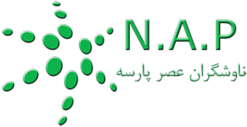 شرکت ناوشگران عصر پارسه